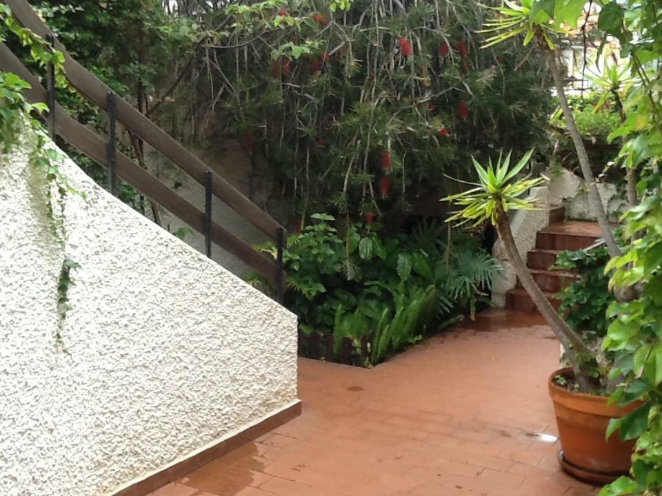 Chuva De Prata *