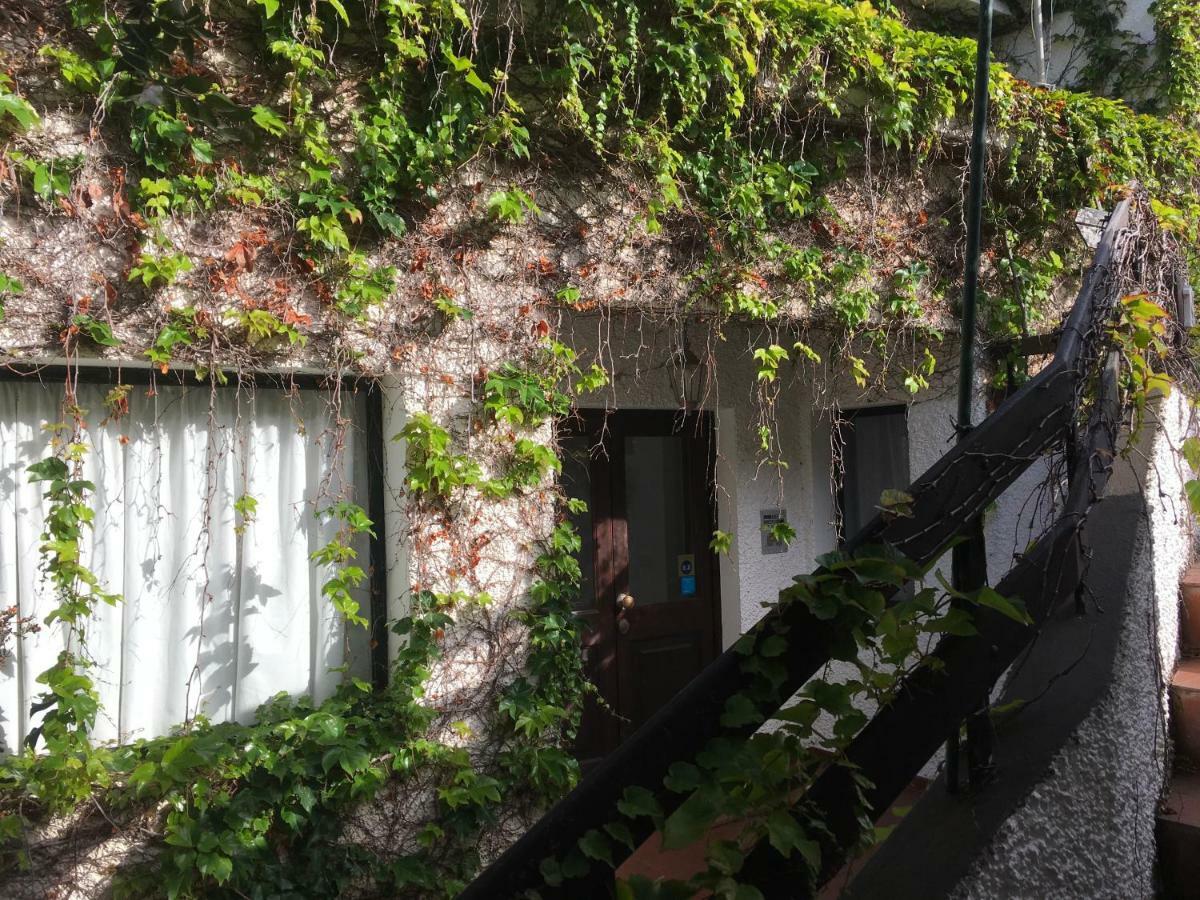 Chuva De Prata * Canico (Madeira)